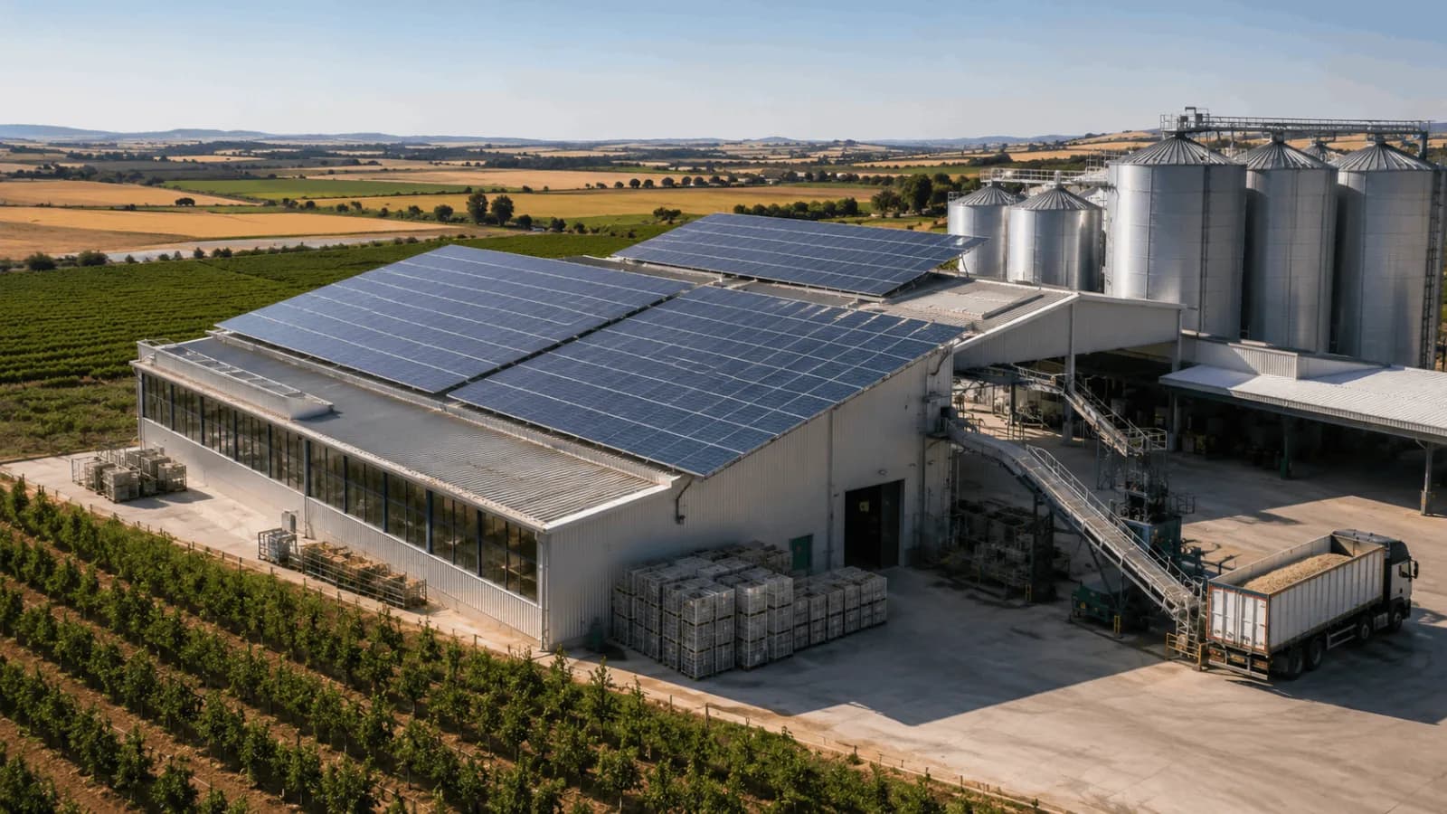 La industria agroalimentaria de Castilla La Mancha acelera su adaptación energética ante un escenario de mayor presión competitiva